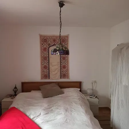 Acogedor Piso En El Casco Antiguo アパート